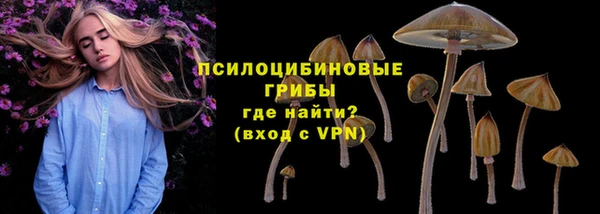 хмурый Алзамай