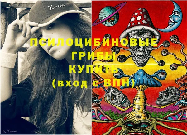 хмурый Алзамай