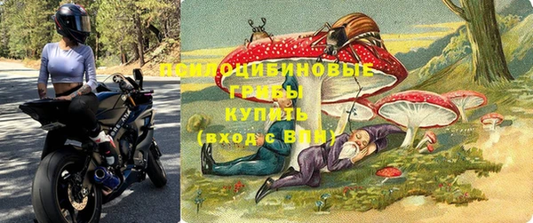 индика Алексеевка