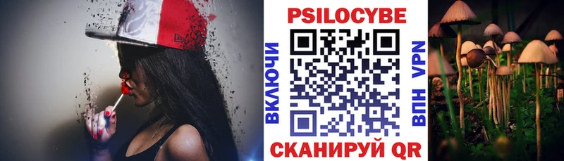 Псилоцибиновые грибы Psilocybe Кремёнки